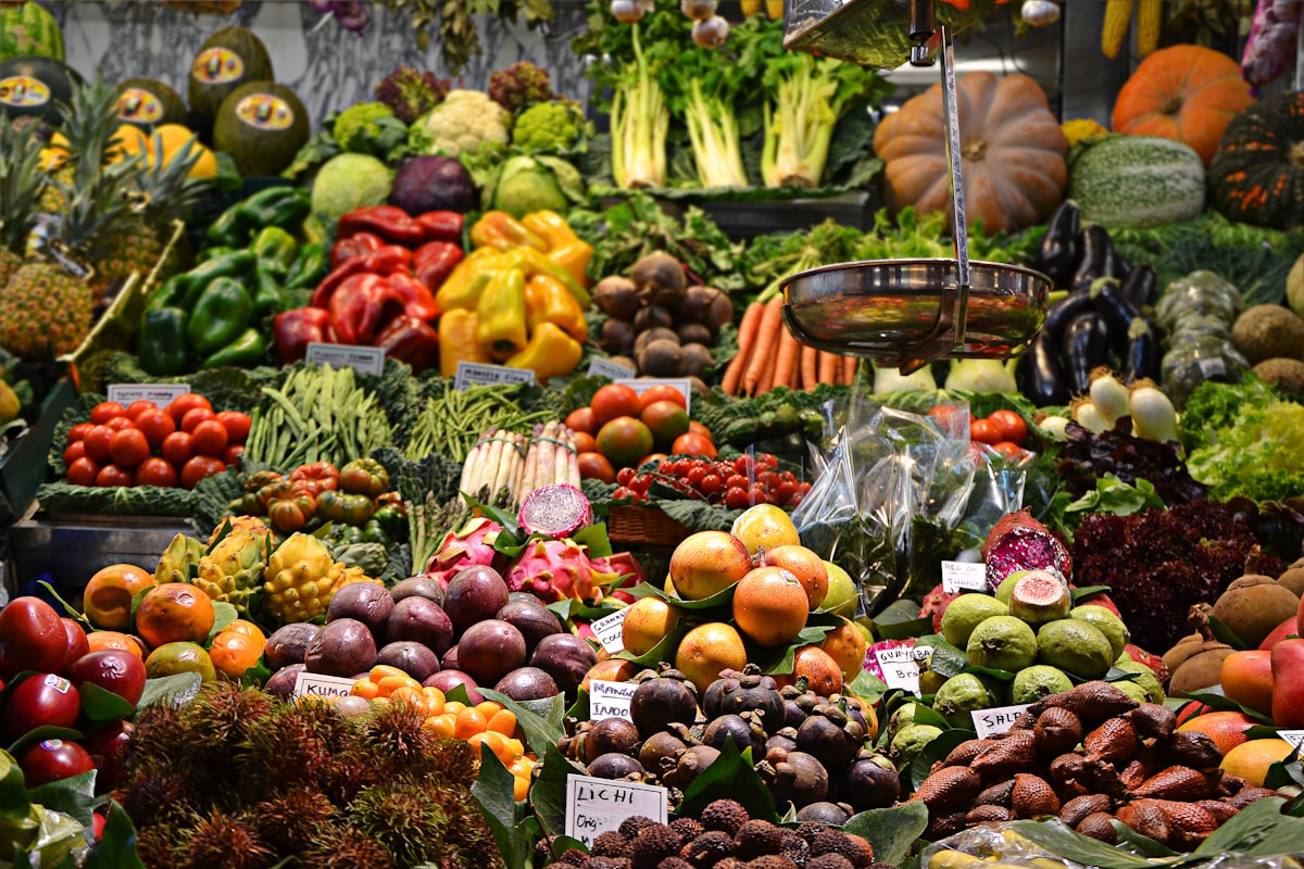 Programma nutrizionale equilibrato - Dietconsultingpro